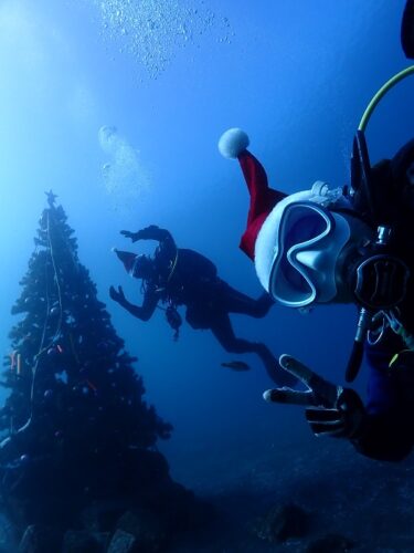 大瀬崎で浮遊系探索