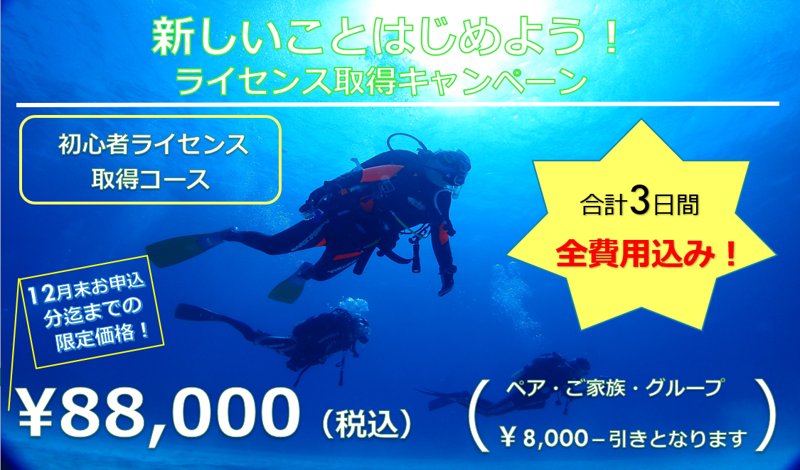 ライセンス取得│横浜ダイビングショップ【トリトン】横浜市