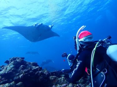 石垣ツアー最高！