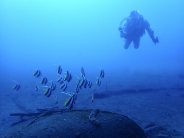 リクエスト川奈！！