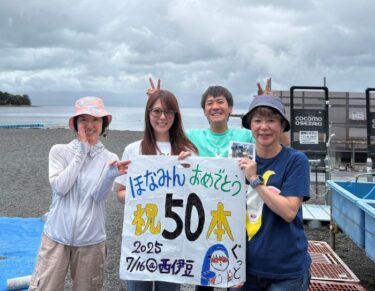 平日記念ダイブ！