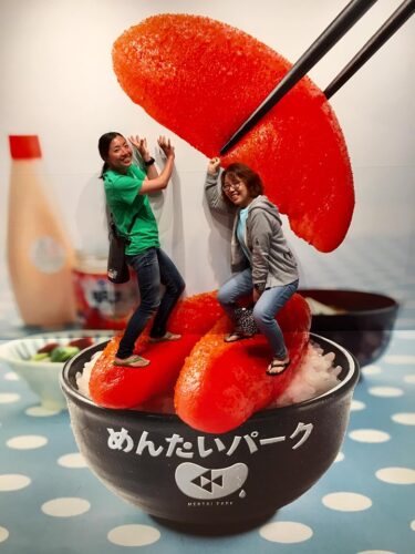 西伊豆観光ツアー！！