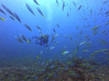 平日・神子元ハンマーツアー！