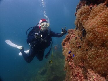 福浦がアツい！！