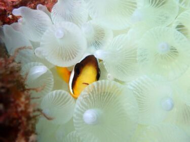 西伊豆お泊りツアー！