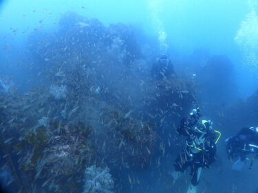江の浦ボート解禁！！