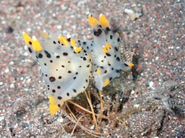 じっくりフォトツアー♪