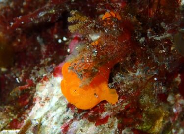 ２月の臨時休業