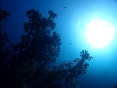 自粛営業の延長について