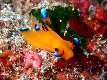 伊豆大島研修　その2