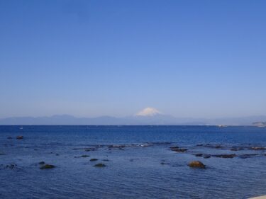 葉山でダイビング！