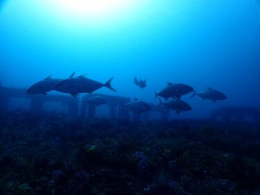 NEWポイントの視察へ！