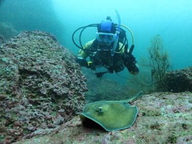 はじまりは城ヶ島！
