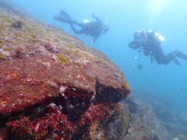 水中に沈んだ駅をみに！