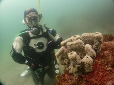 ライセンス取得に向けて！