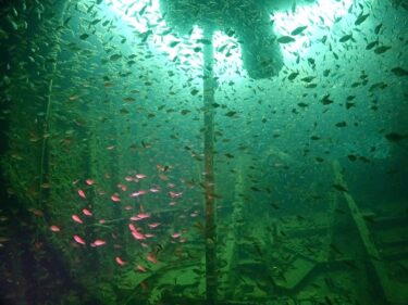 熱海で沈船＆洞窟ダイブ！