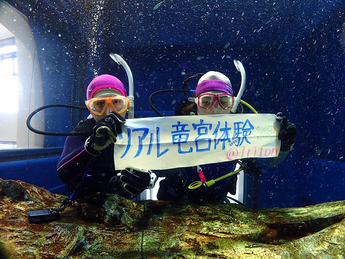 リアル竜宮城体験ダイブ！│横浜ダイビングショップ【トリトン】横浜市