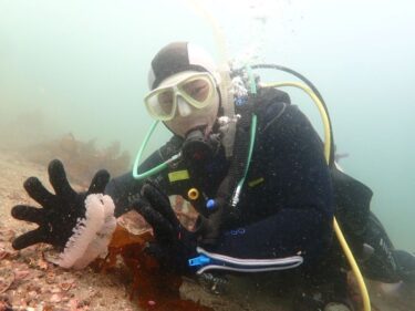 明日行けますか！？