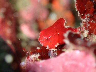 GW後半戦スタート！