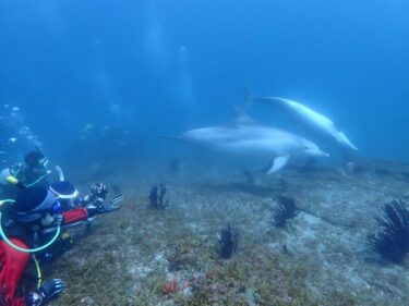 夢のような時間！