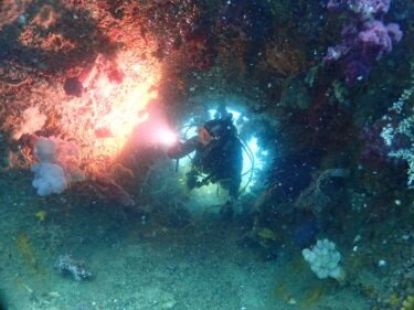 はじめての平沢＆2021年初潜り♪