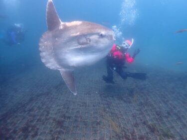 3度目の正直！？