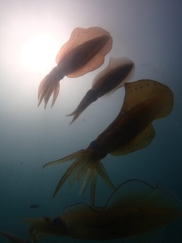 贅沢なツアー！！