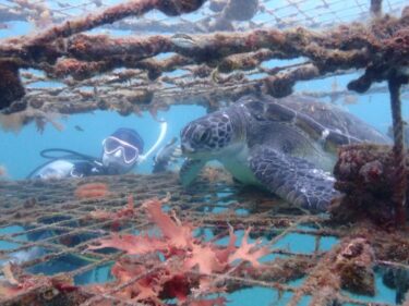まさかのカメさん！