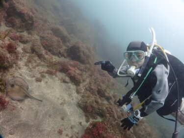 リフレッシュツアー！