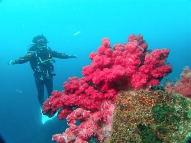真鶴の海を満喫！