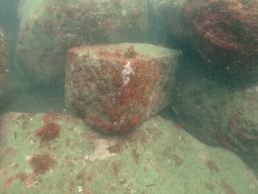 四角い石を見る！