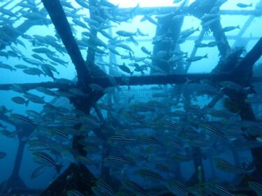 身近なリゾートへ！