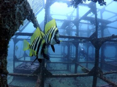 ＩＬＯＶＥ♡初島♪