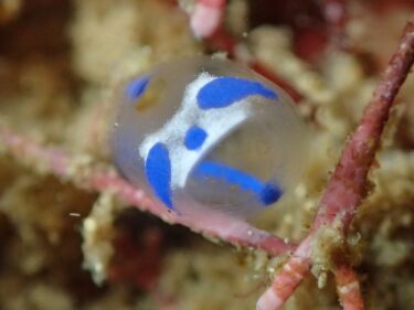 日曜日なのにマンツ―で！