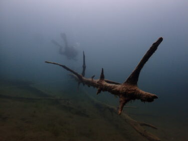 湖でダイビング！