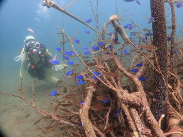 マンツーマンでじっくりフォトダイブ♪