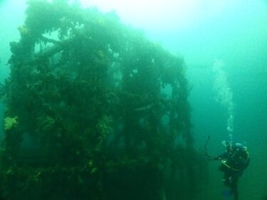 福浦でボートダイビング！