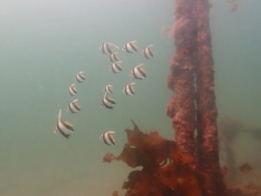 また始めよう！