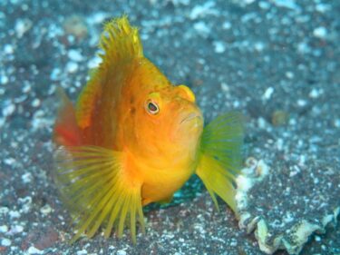 ポイント変更が功を奏す！