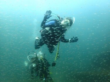 ミステリーかっちゃま！