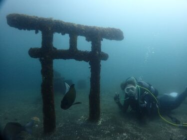 はじめてのトリトンツアー♪