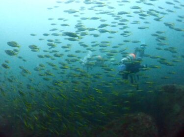 Triton初ツアー！