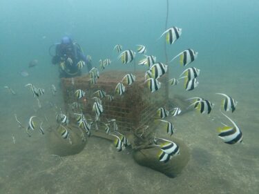 2連続でHomeへ！