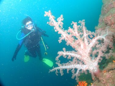 初めての静浦！