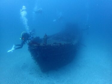 神子元デビューのはずが？