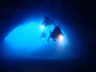 洞窟ダイビング！