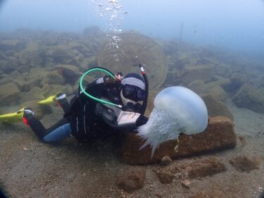 ドライスーツ講習！