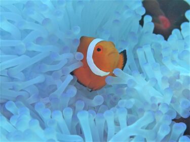 店舗休業の延長について