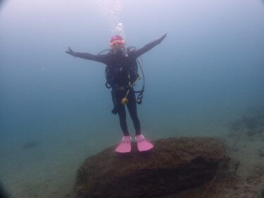 平日リクエストツアー♪