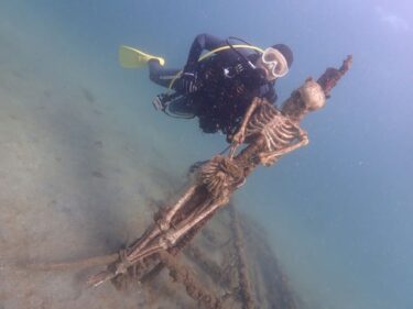 のんびりダイブ！